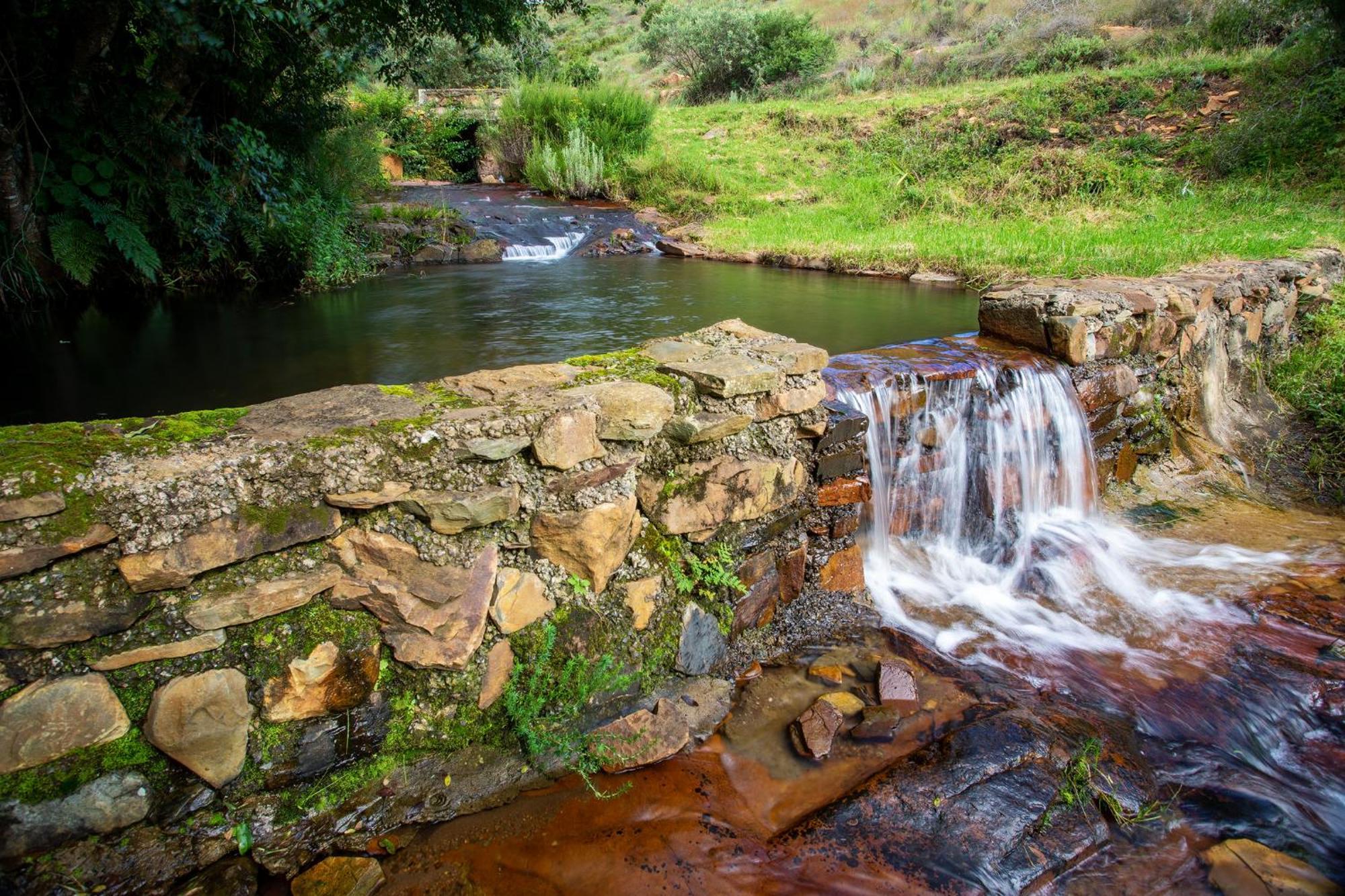 Paardeplaats Nature Retreat Rhenosterhoek Zewnętrze zdjęcie