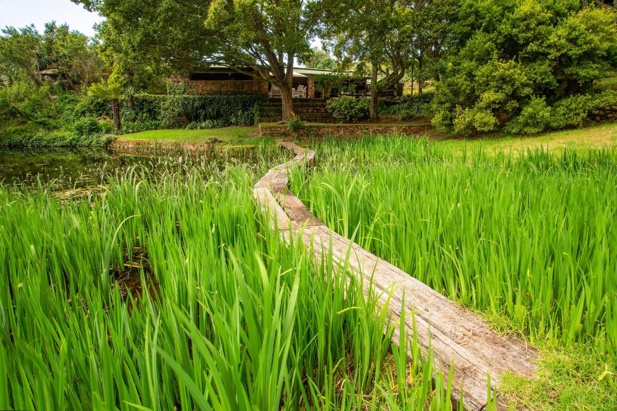 Paardeplaats Nature Retreat Rhenosterhoek Zewnętrze zdjęcie