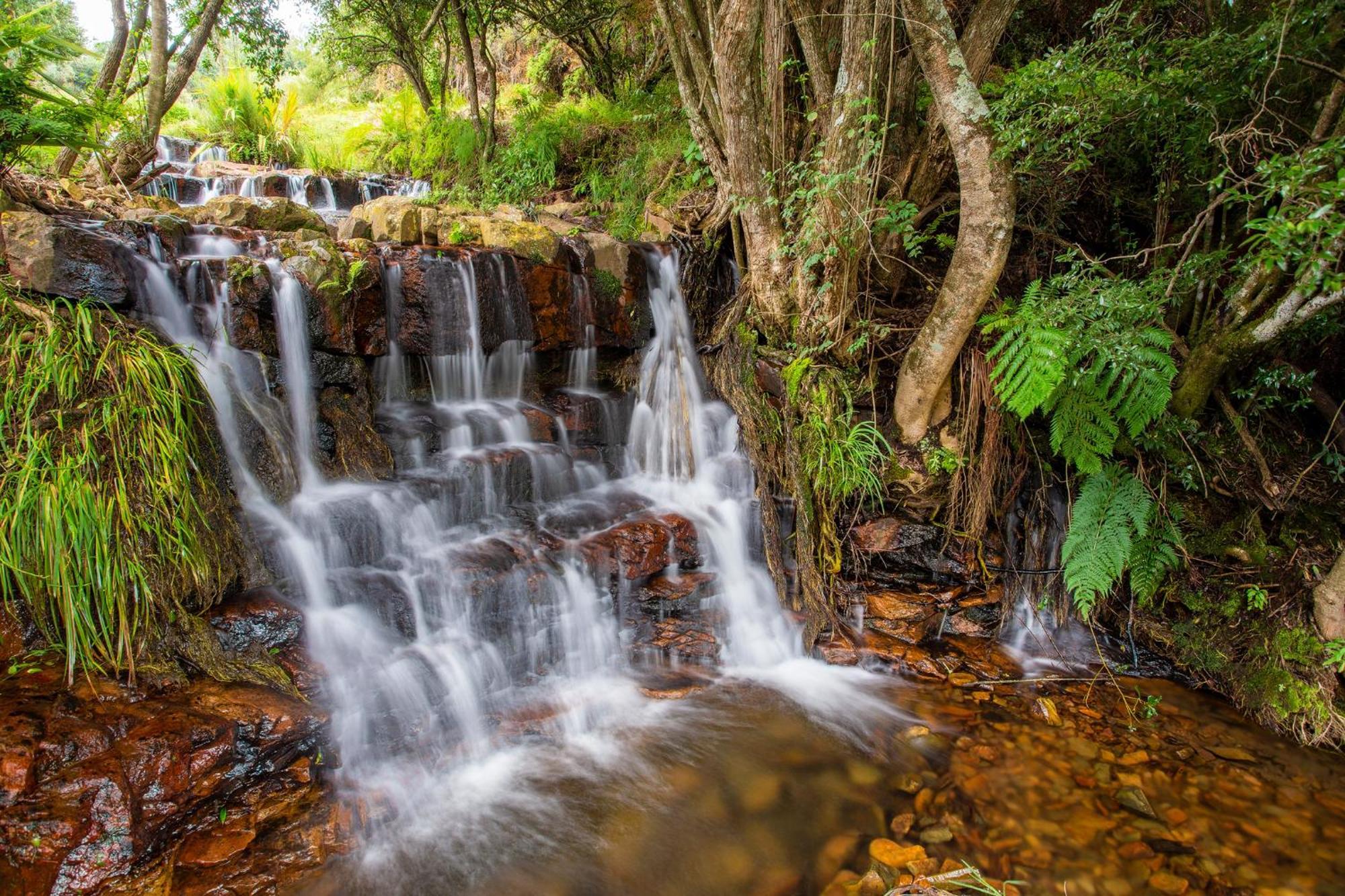 Paardeplaats Nature Retreat Rhenosterhoek Zewnętrze zdjęcie