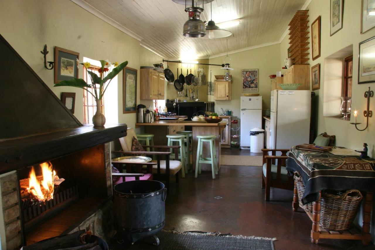 Paardeplaats Nature Retreat Rhenosterhoek Zewnętrze zdjęcie