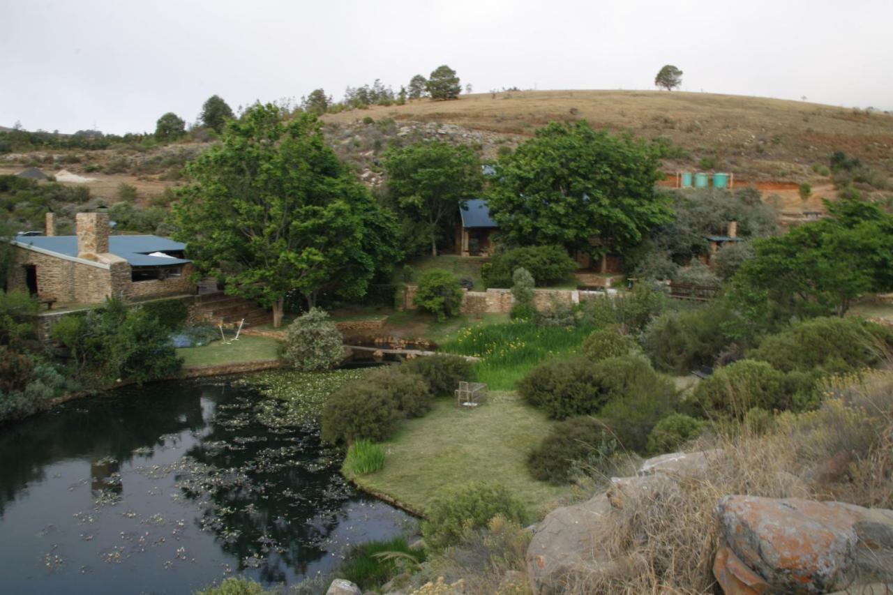 Paardeplaats Nature Retreat Rhenosterhoek Zewnętrze zdjęcie